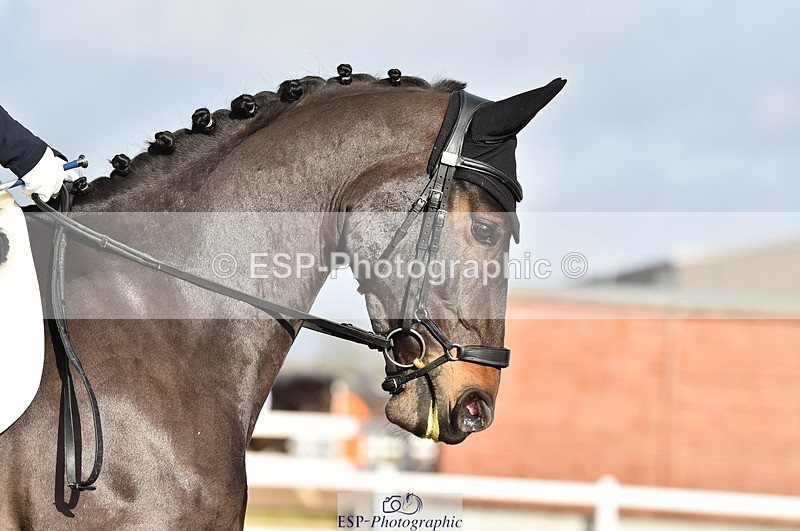 231104A-111254-01489 - Cls 5 Novice 37A