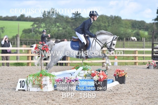 BPP_1889 - DERBY CLASS 5 - 60CM