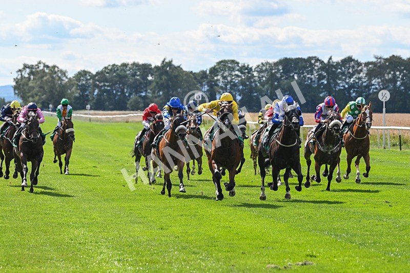 020825-Race 4-Moulin Booj-3104 - Race 4