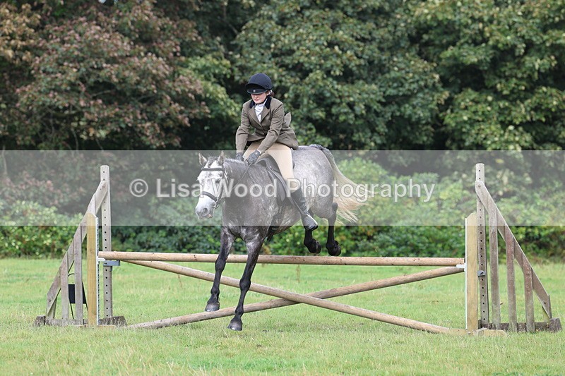 3E7A5943 - Class 28: 75cm Working Hunter