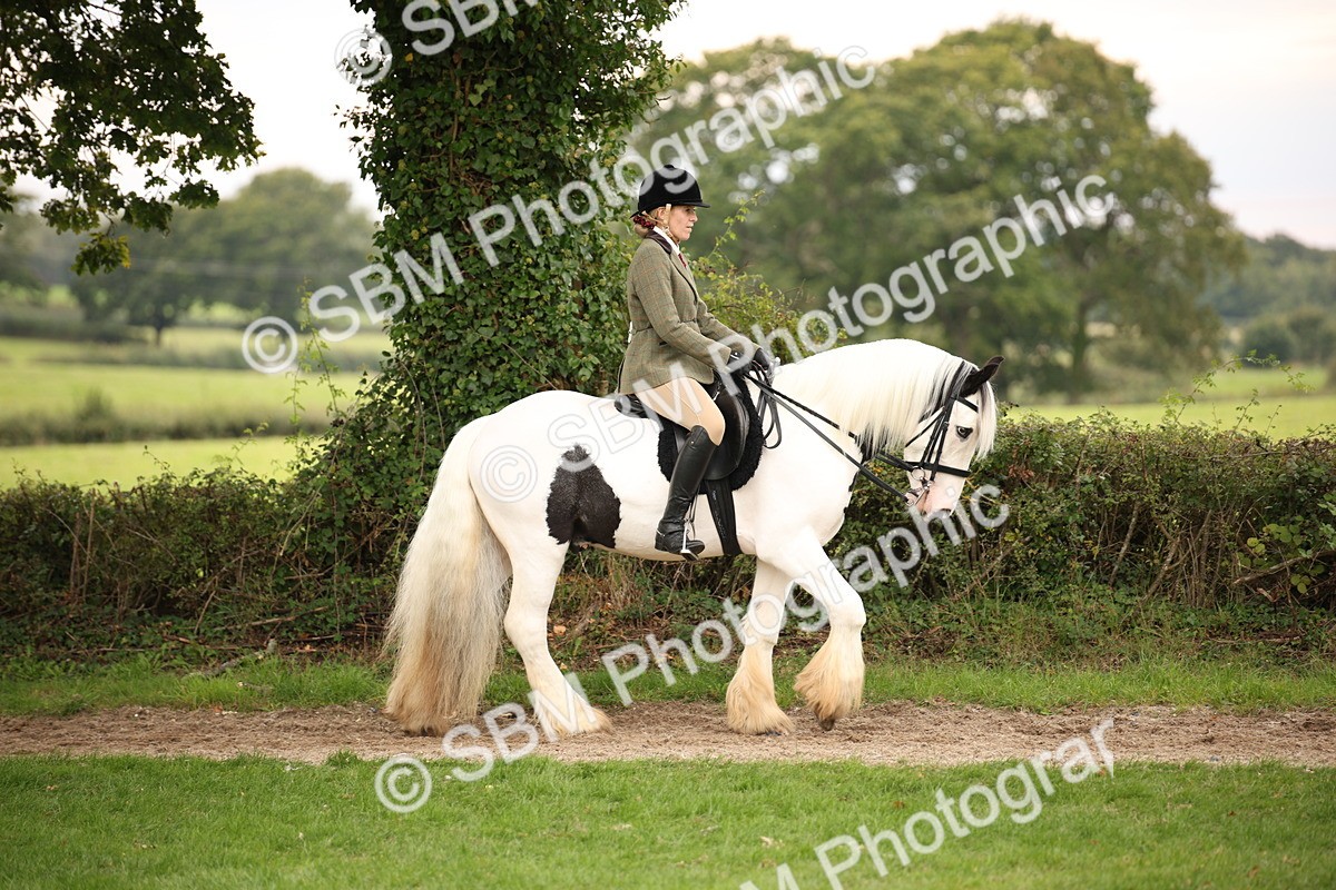SBM_73414 - S68 - Traditional Cob Ridden
