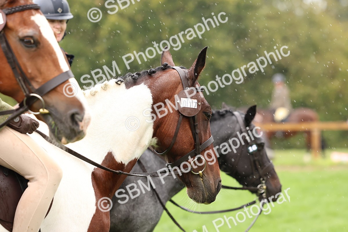 SBM_45089 - S27 - Young Veteran Ridden