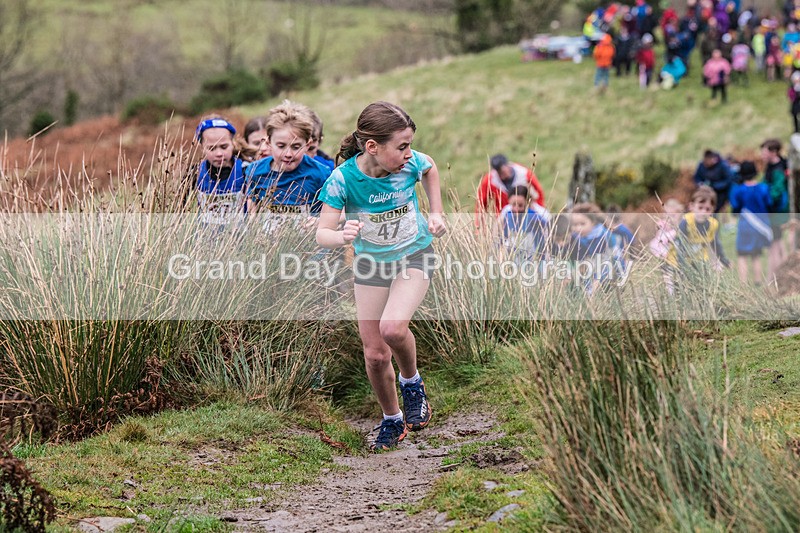 Sale Juniors-51 - Junior Sale Fell Races Sunday 10th November 2024