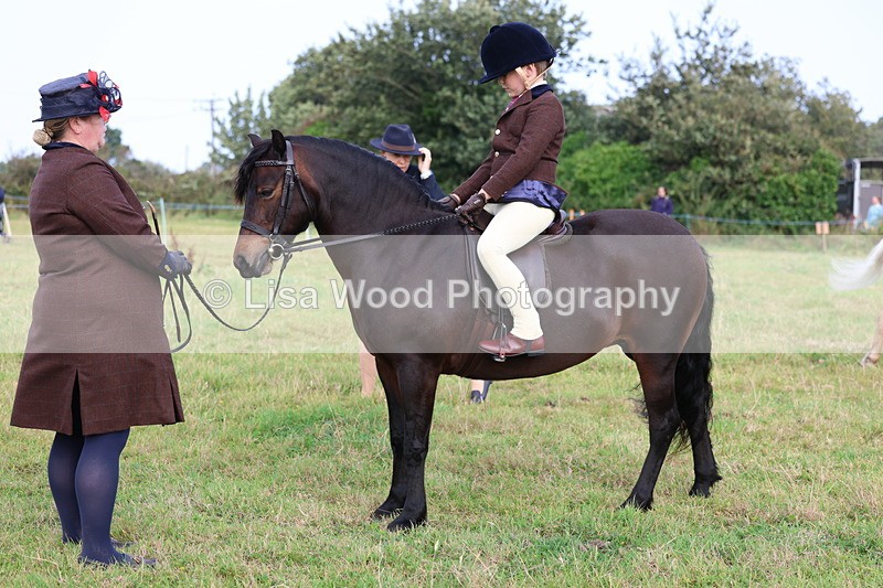 3E7A3587 - Class 2: Lead rein