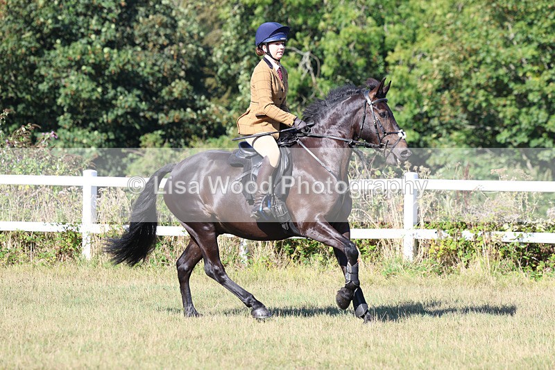 3E7A5490 - Class 3: Working Hunter 70cm
