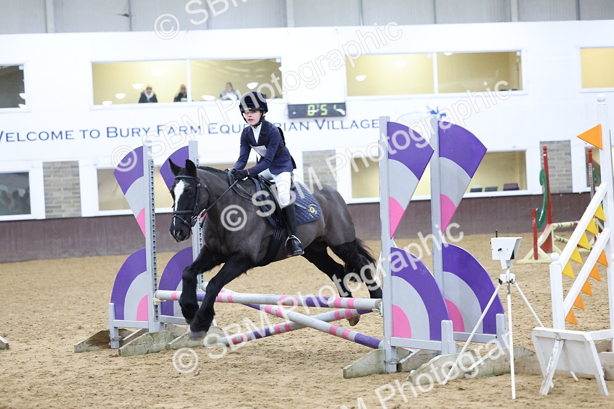 SBM_001147 - Class 3 - Christmas Tree Stakes - 60cm