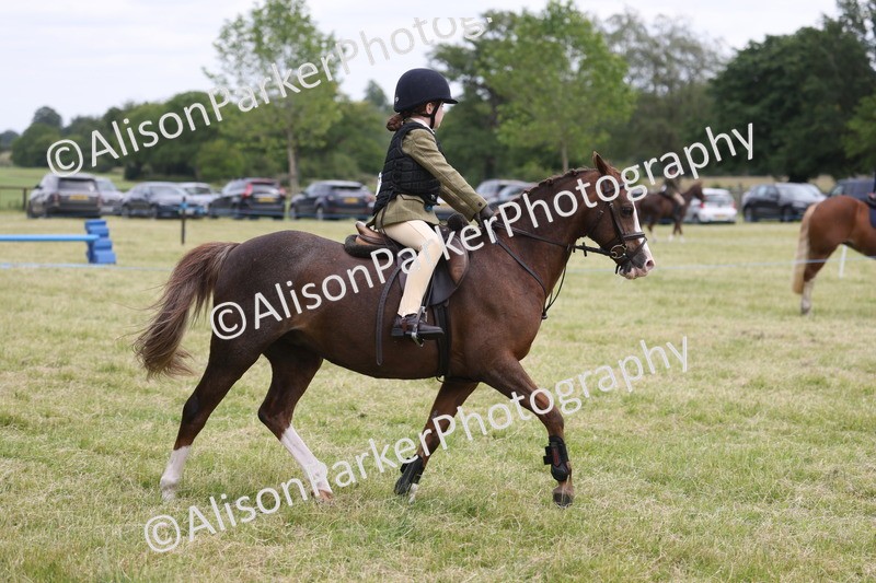 20260614-3022 - Class 22 - Open Working Hunter