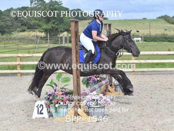 BPP_1546 - DERBY CLASS 3 - 40CM