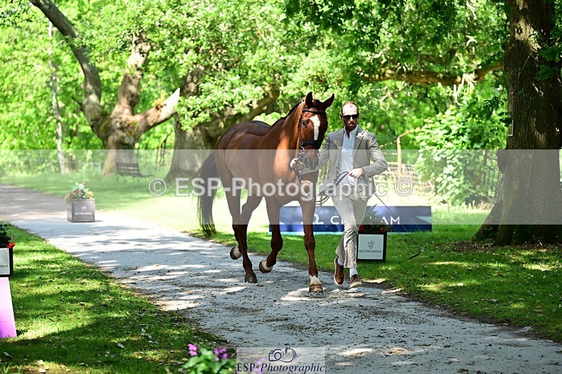 260527A-145940-00742 - C-354-Tom.Rowland