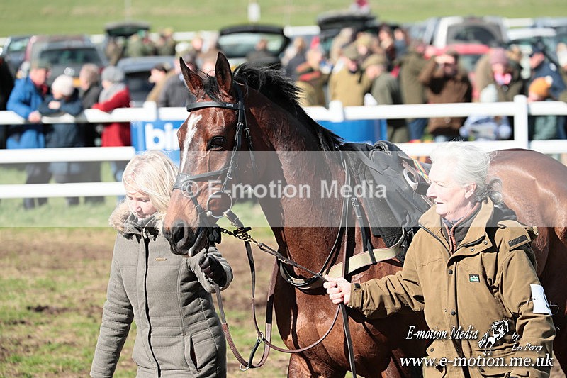 PtP 230324 642 - Tedworth Hunt PtP Larkhill Raccourse 23rd March 2024