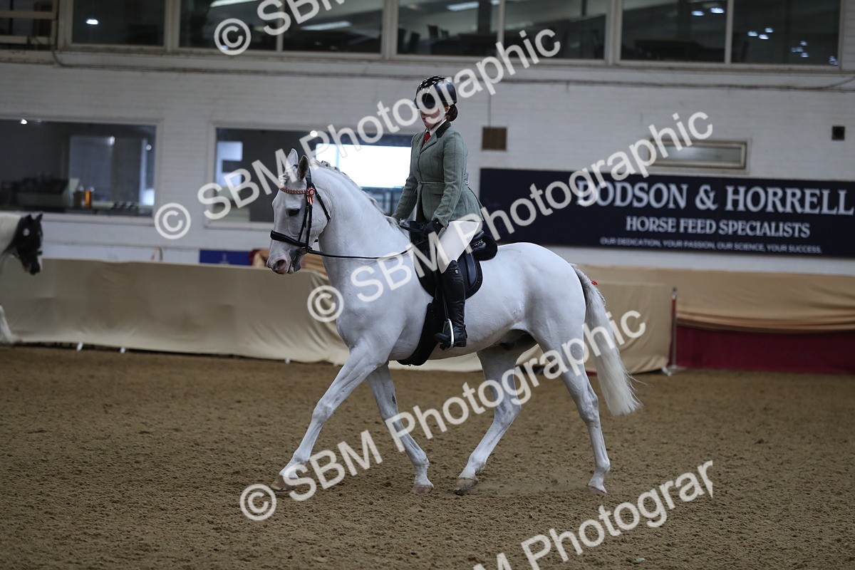 SBM_10402 - Class 102 Equitation (best rider) Adult
