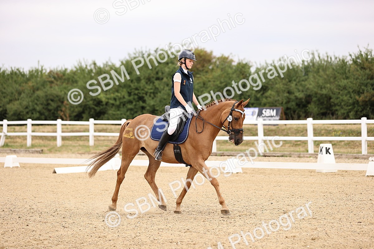 SBM_005262 - Intro 3 - 8.30-9.30