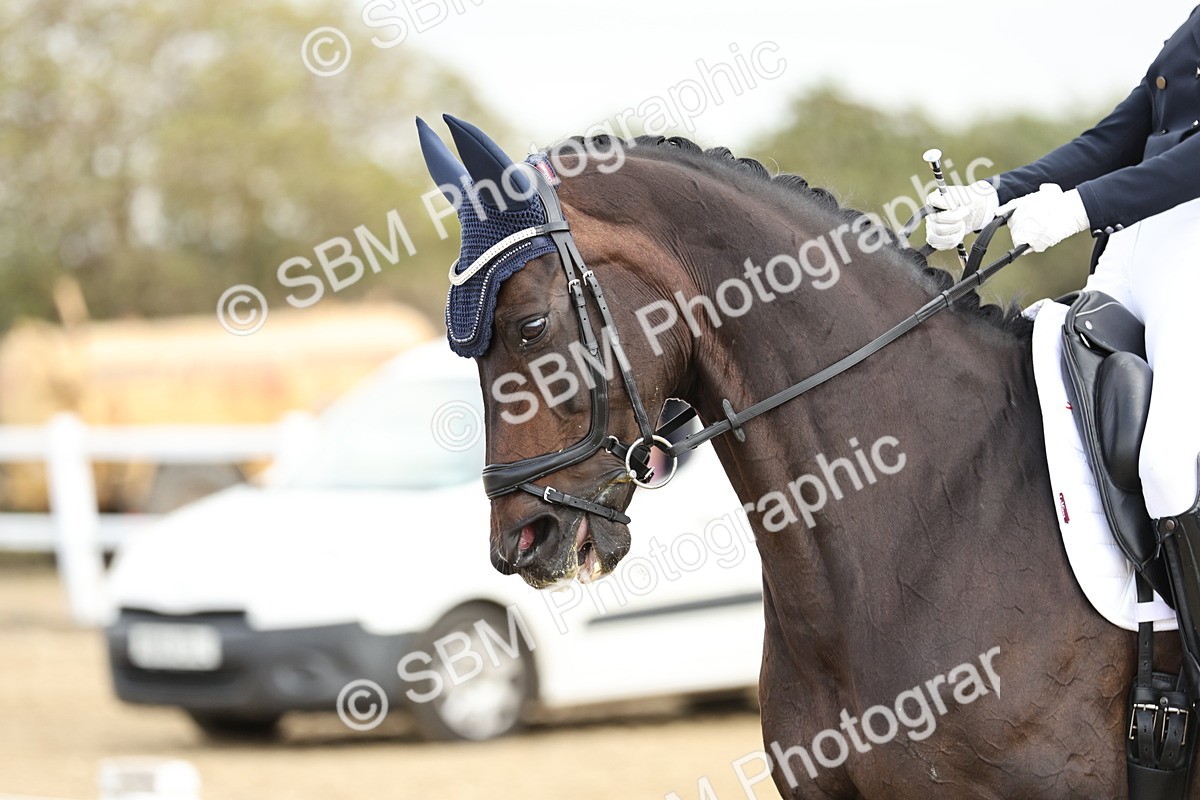 SBM_007285 - Class 25 - FEI PSG Bronze