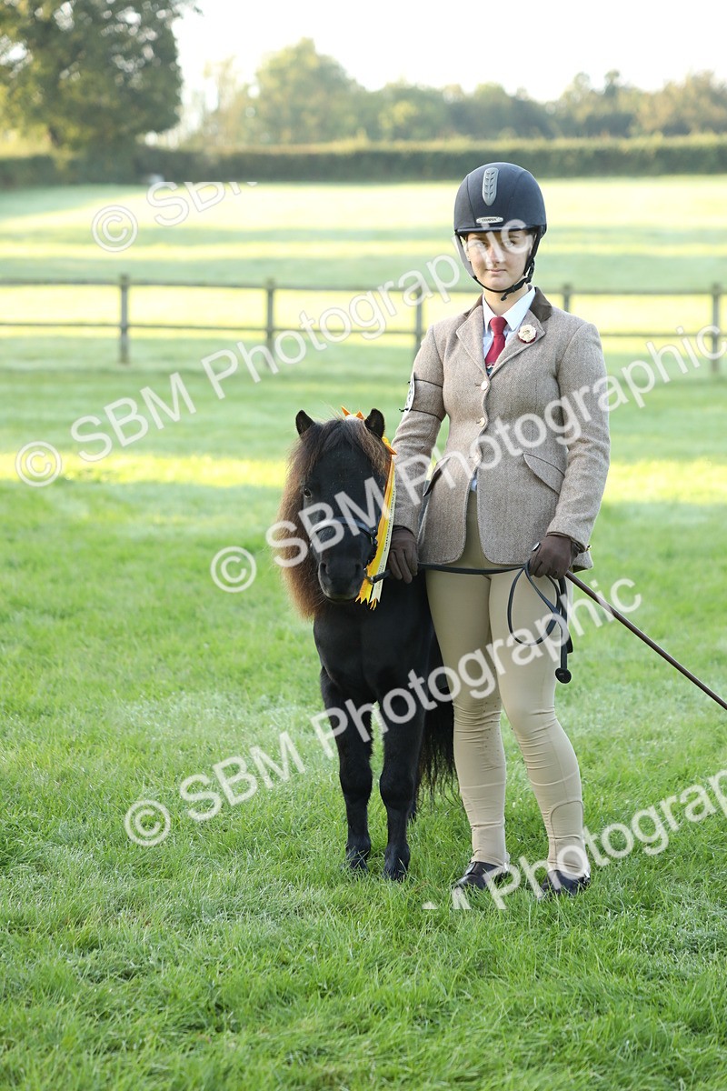 SBM_57879 - S42 - Youngstock