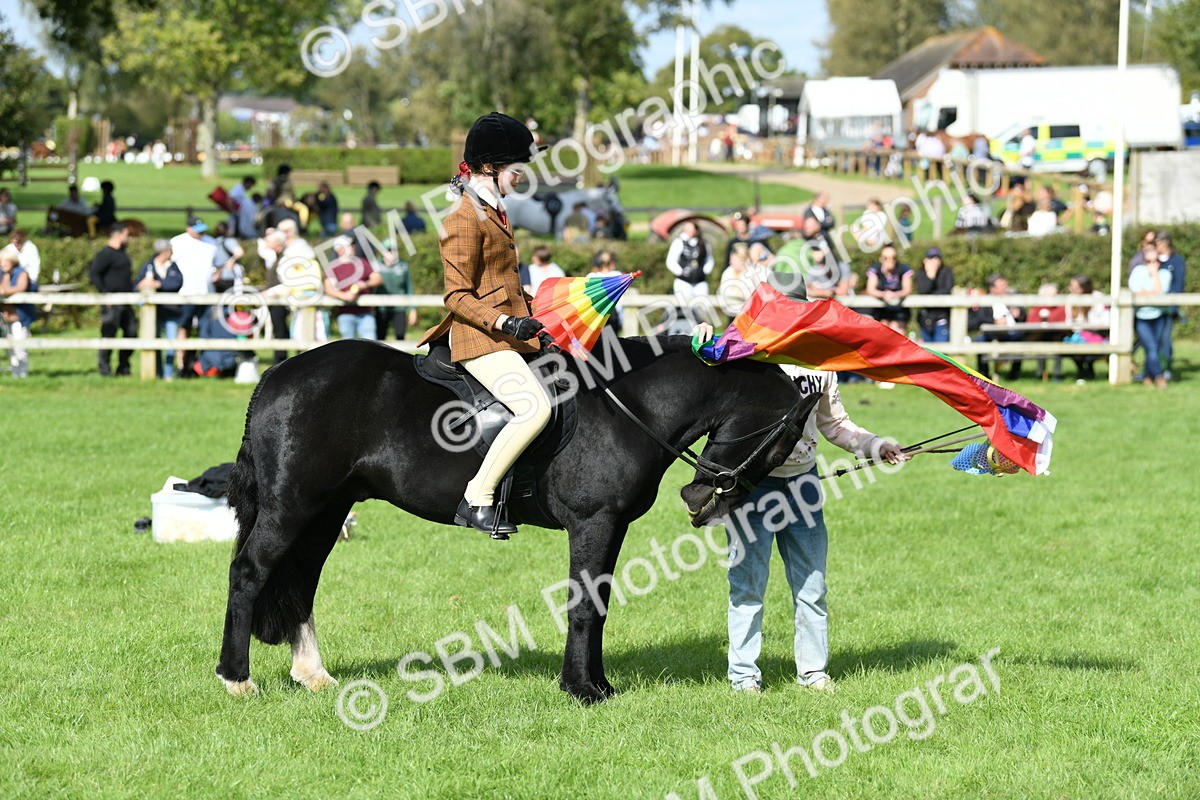 SBM_47080 - S12 - Family Horse & Pony