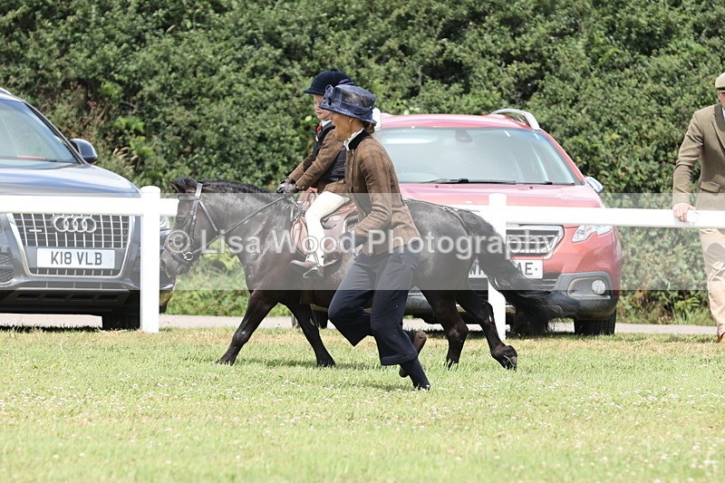 JPP_1897 - Class 18: Tiny Tots Working Hunter Pony
