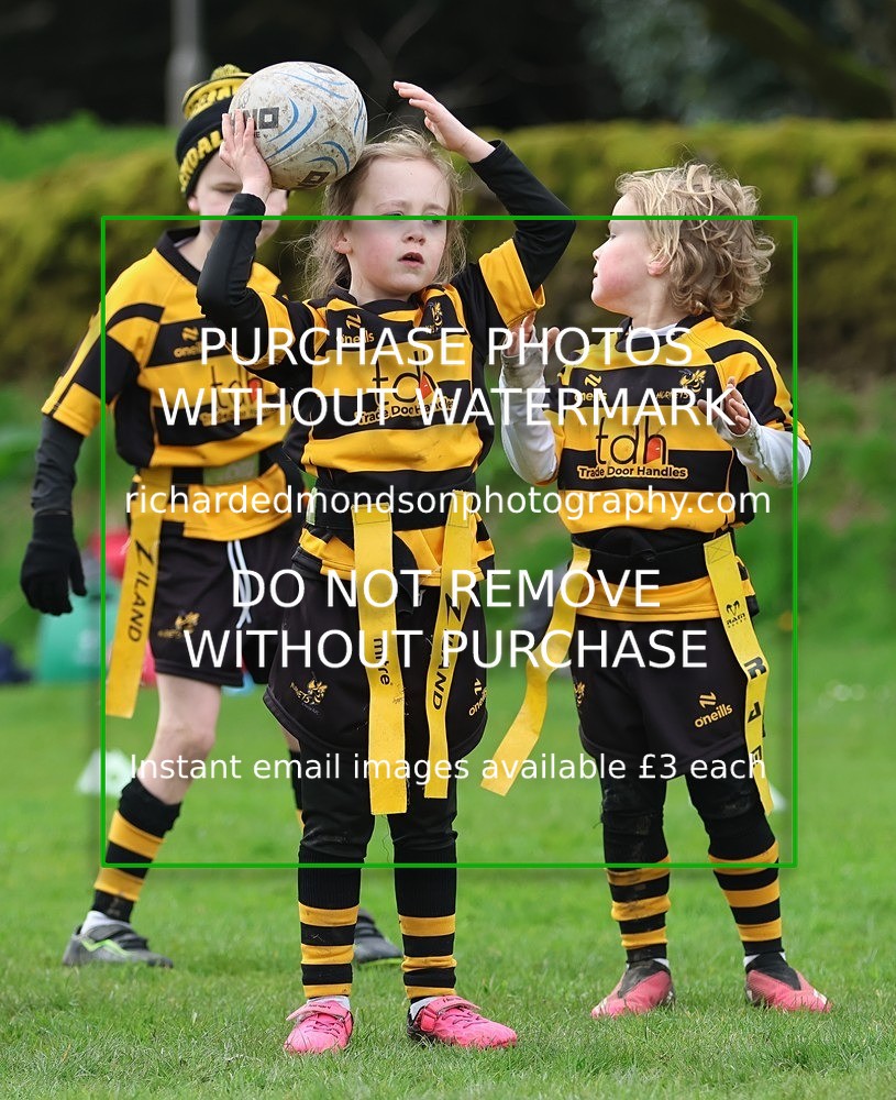 533A5270 - Kendal Rugby Mini & Youth (Sunday 12/4/26)