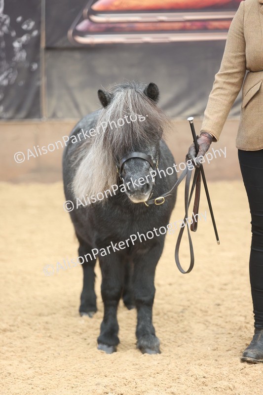 20251109-0052 - Class 3 - 2 and 3 Year Old