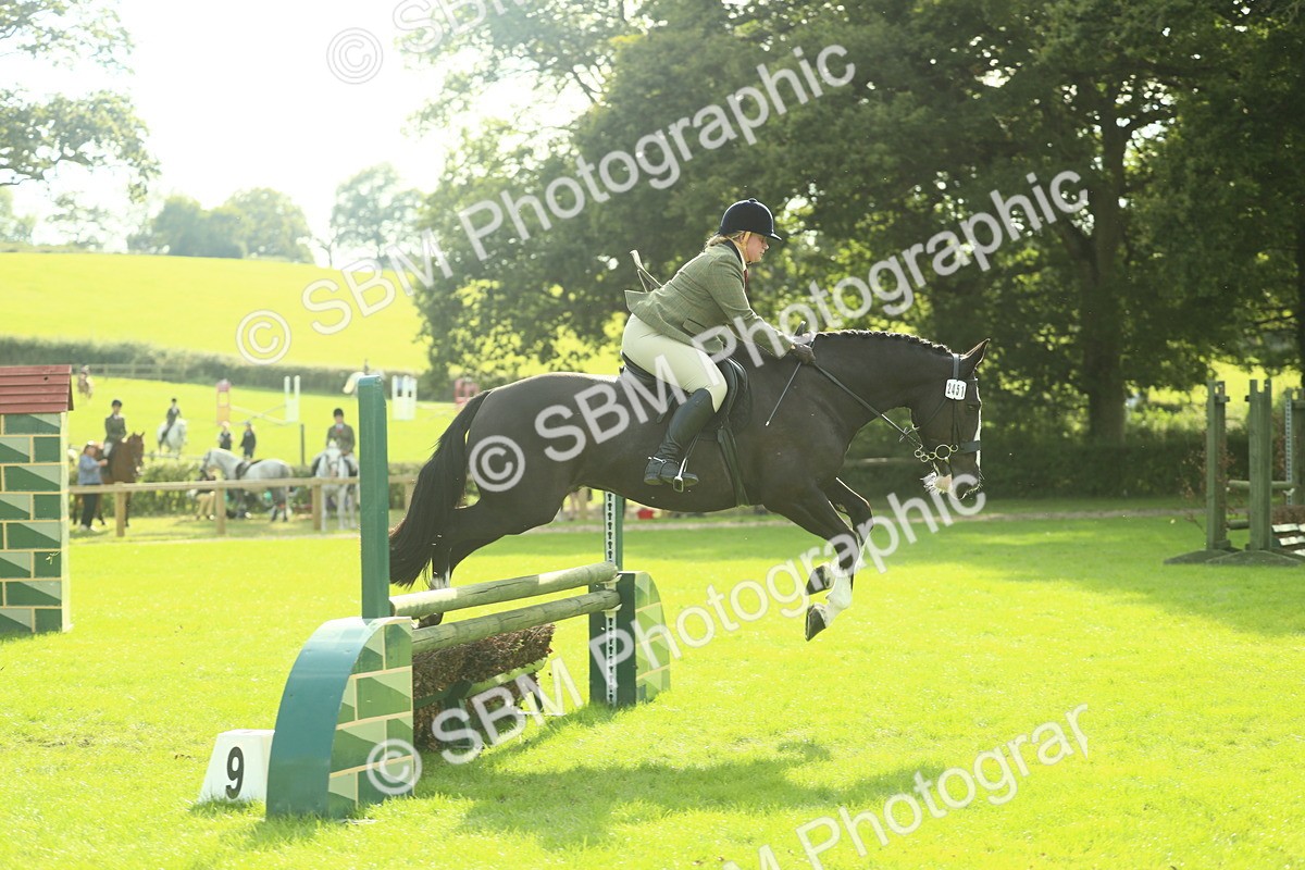 SBM_50632 - S33 - Working Hunter & Working Show Horse