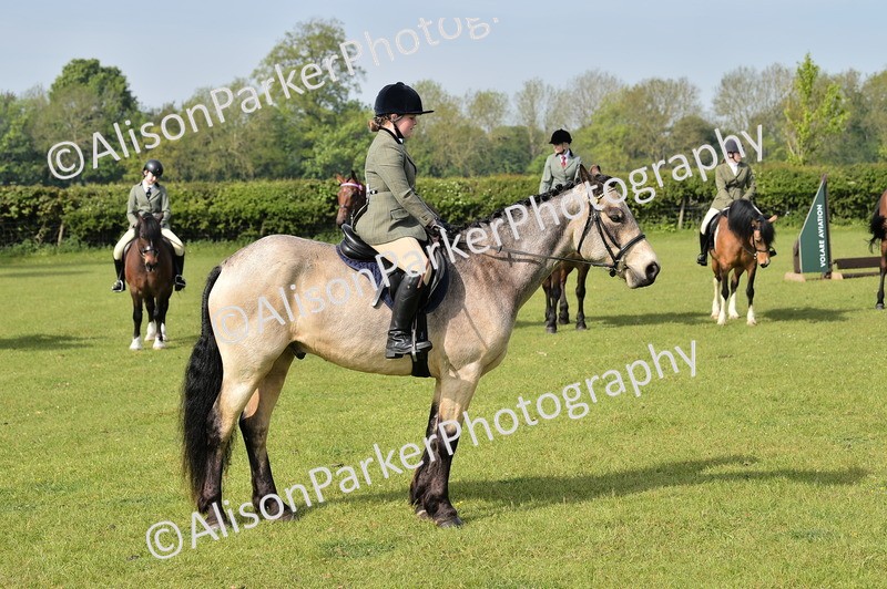 20260426-0930 - Class 18 - Novice Showing