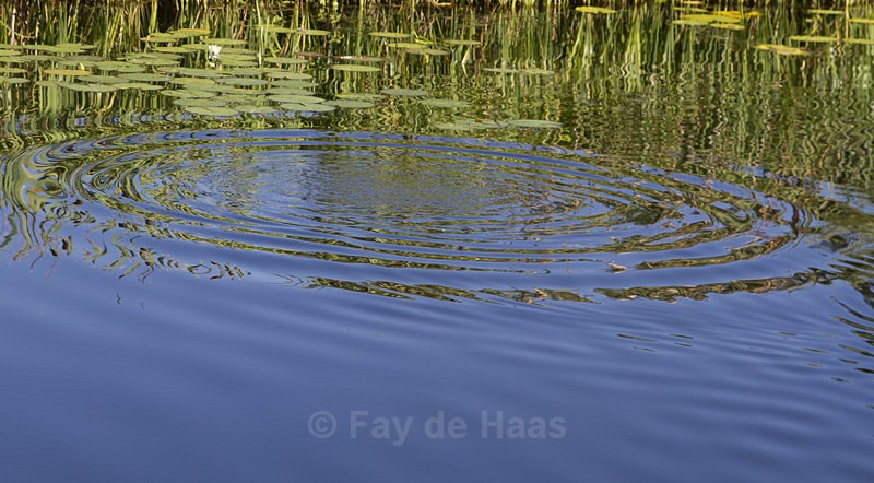  - Water gazing