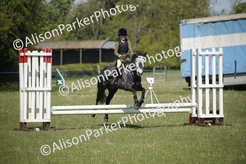 20250427-2144 - Class 13 - Novice Jumping 60cm