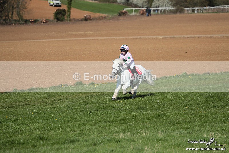 Shet 060426 140 - Shetland Pony Racing Paxford Races Easter Mon 06/04/26