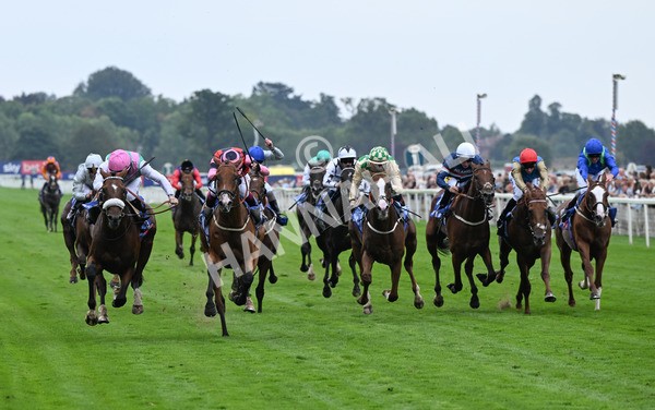 230825-031 Tarriance - Race 2 2.25pm Sky Bet Melrose Handicap