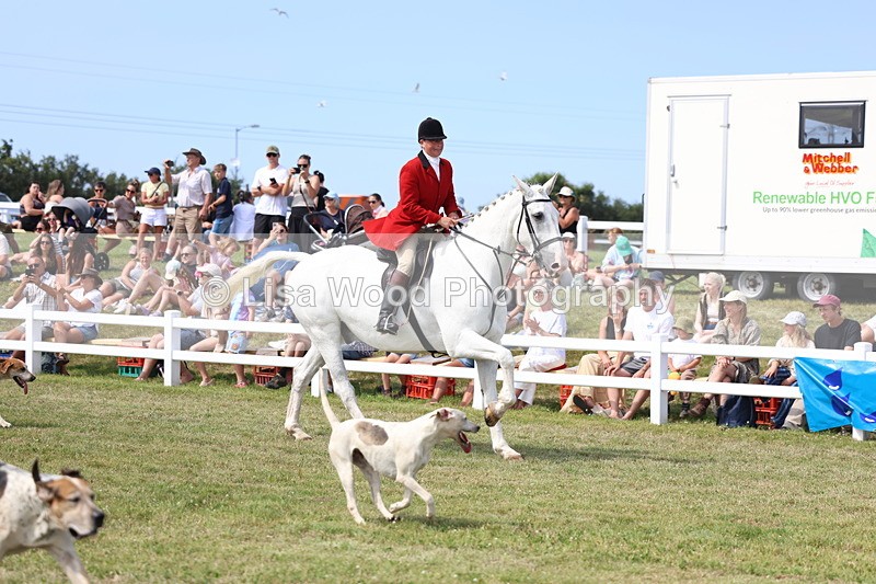 3E7A0175 - Parade of Hounds