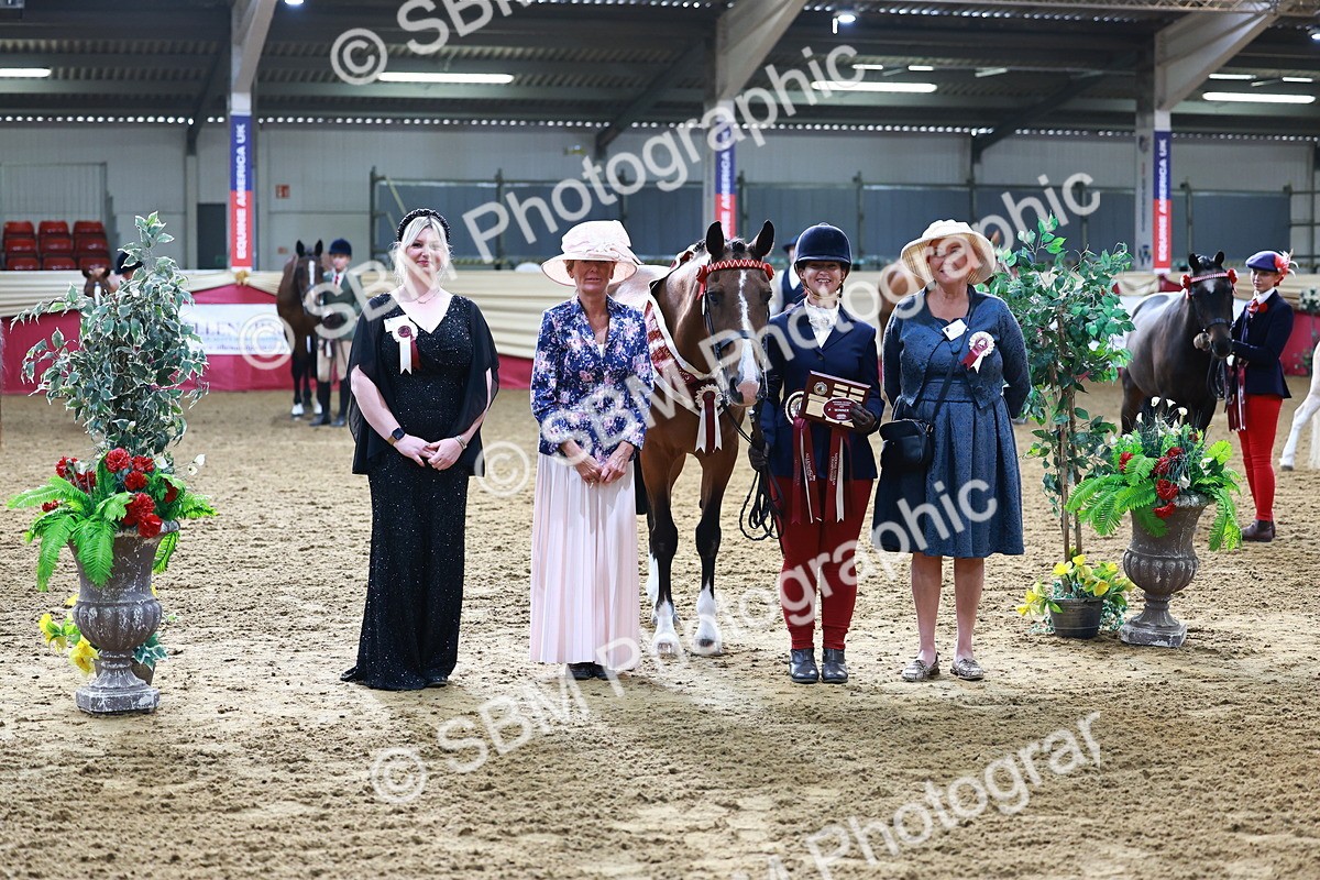 SBM_21921 - Class 901 - Supreme Final - IH  Diamond