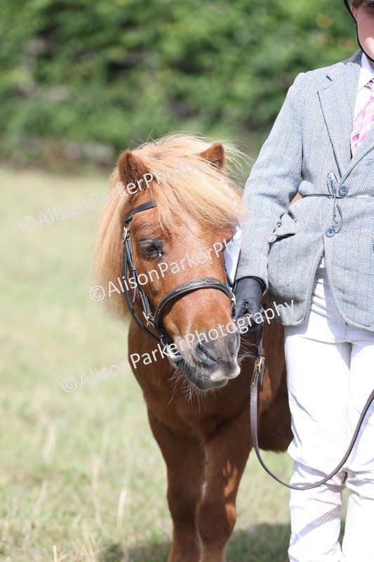 20250831-1722 - Previous show - Lambourn 2025