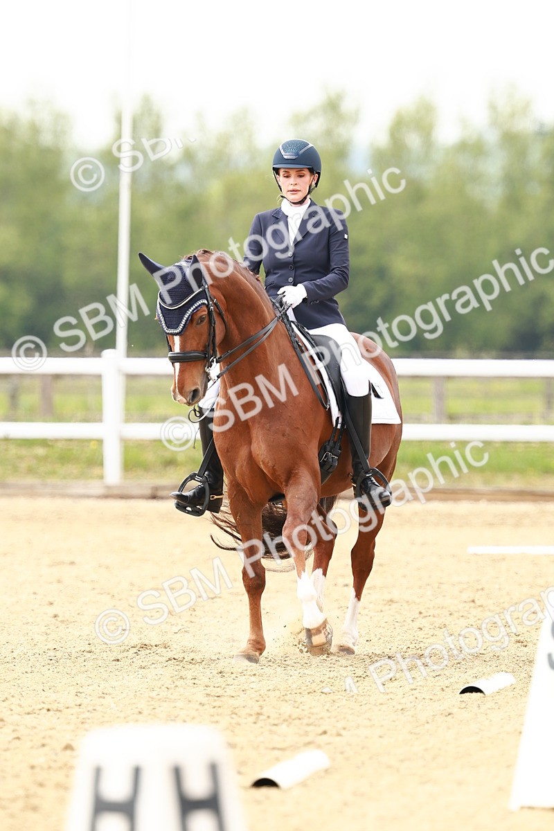 SBM_002740 - Class 12 - Medium 4