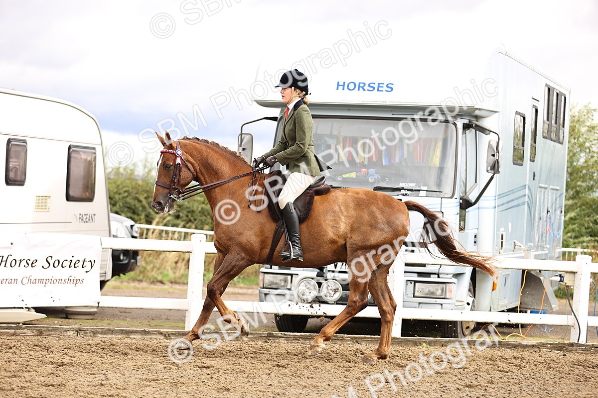 SBM_00591 - Class 53 - Ridden Competition Horse Pony