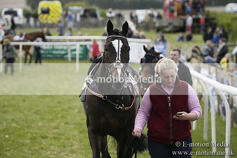 PtP 170417 222 - Old Berks Point-to-Point Lockinge 17/04/17