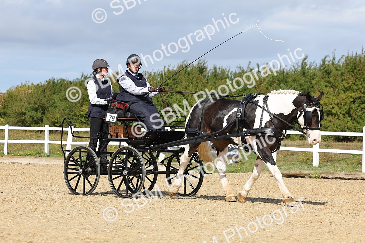 SBM_000888 - Class 8 - Novice Horse or Pony to any vehicle