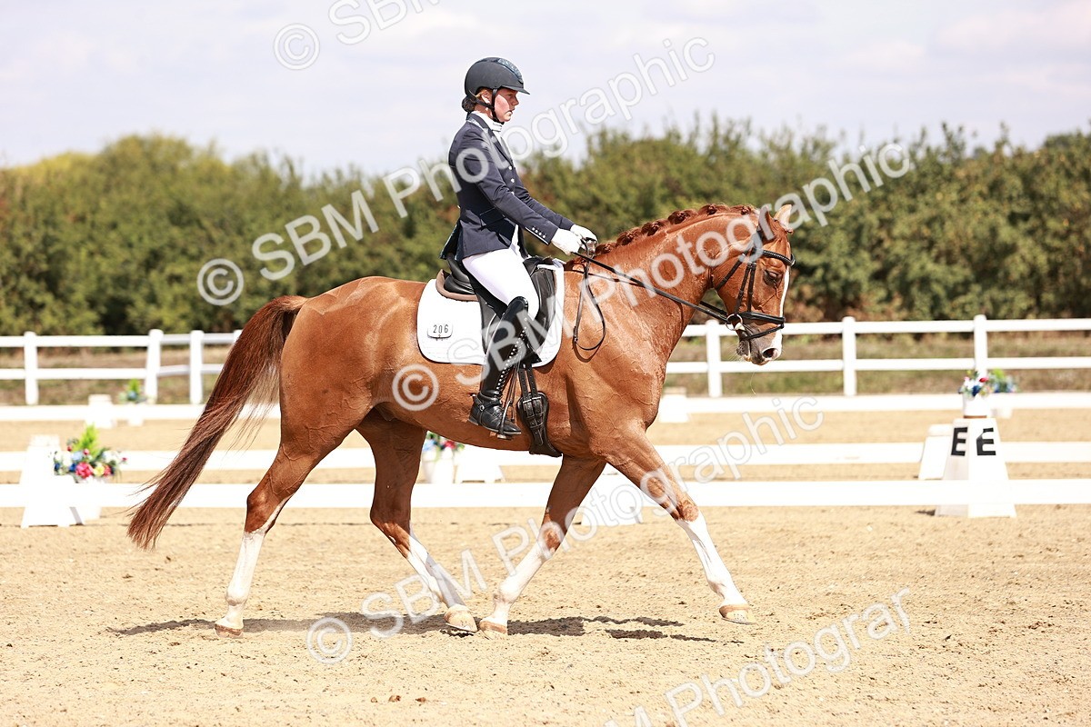 SBM_018453 - Class 17 - Novice 6