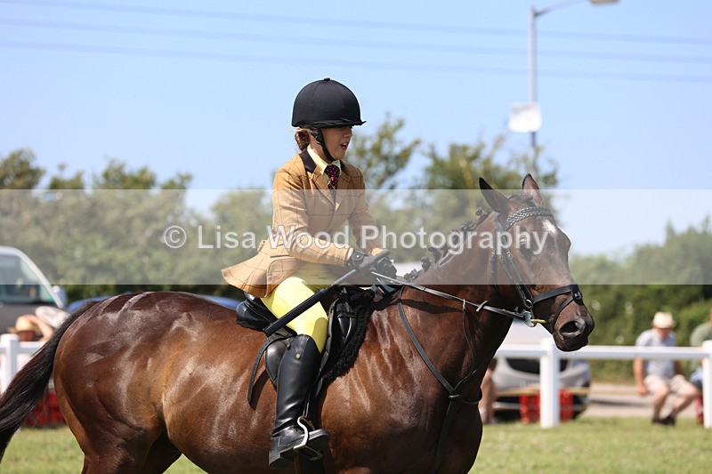 JPP_3064 - Class 22: Working Hunter 70cm