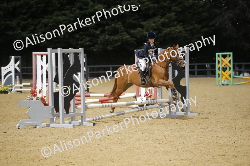 20250622-4010 - 50cm