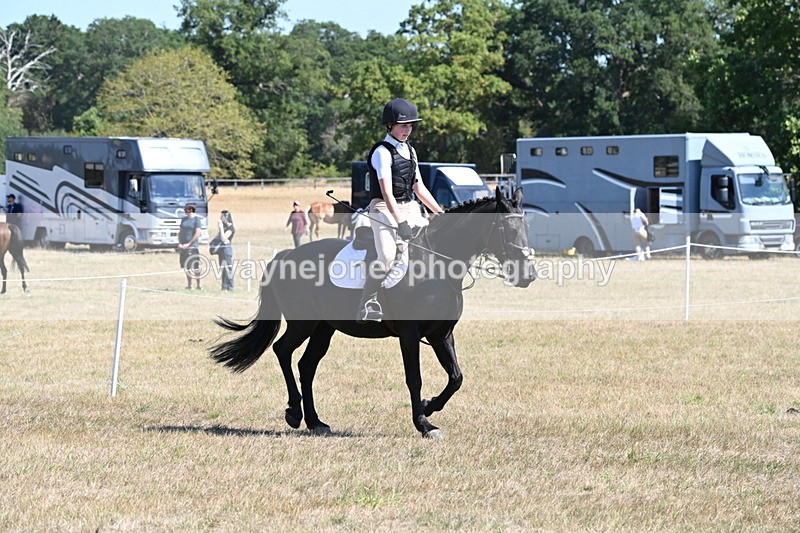 WJ6_8308 - Class 37a Best Loan Pony Ridden