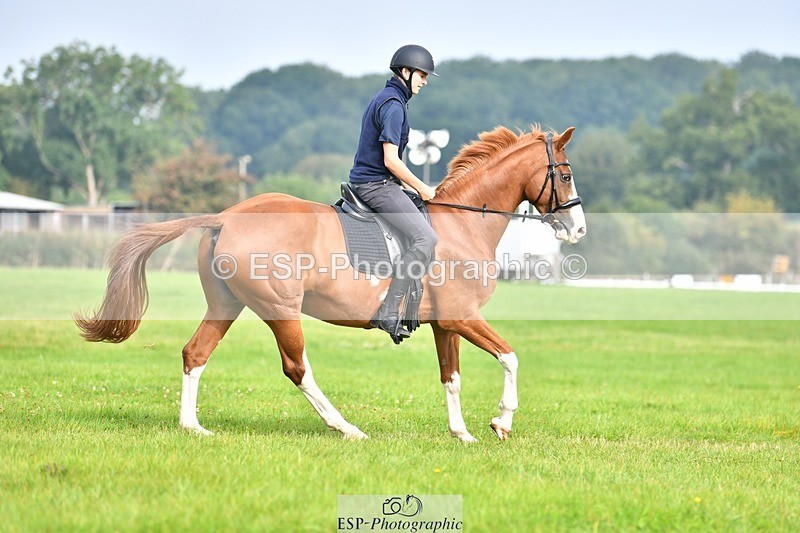 230817-091803-02519 - Abbie's 1st Group - Dressage