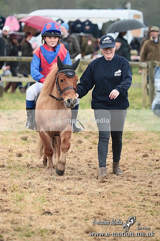 SHETPR 210425 60 - Shetland Ponies Paxford Races 21/04/25