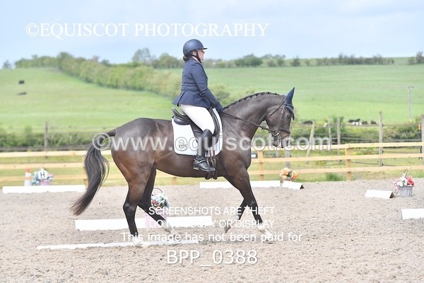 BPP_0388 - NOVICE 6
