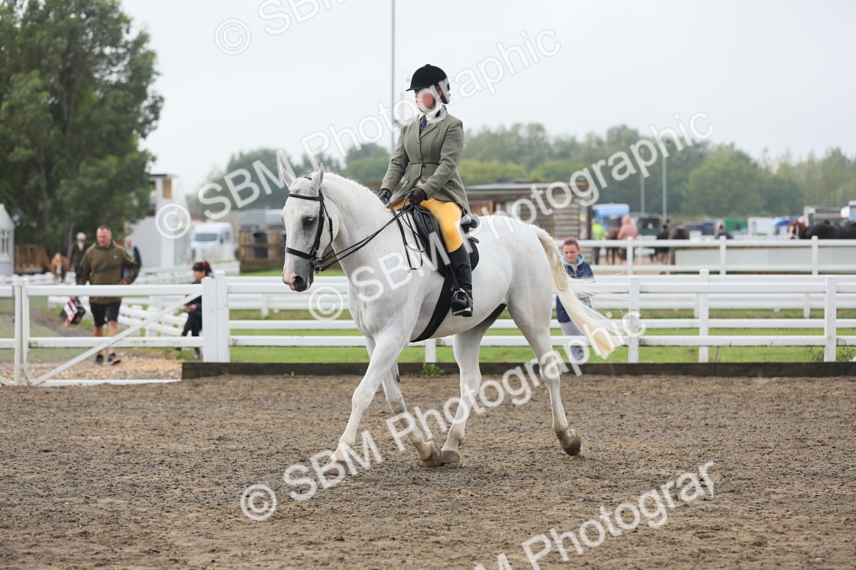 SBM_21289 - Class 805 - Ridden Veteran Horse