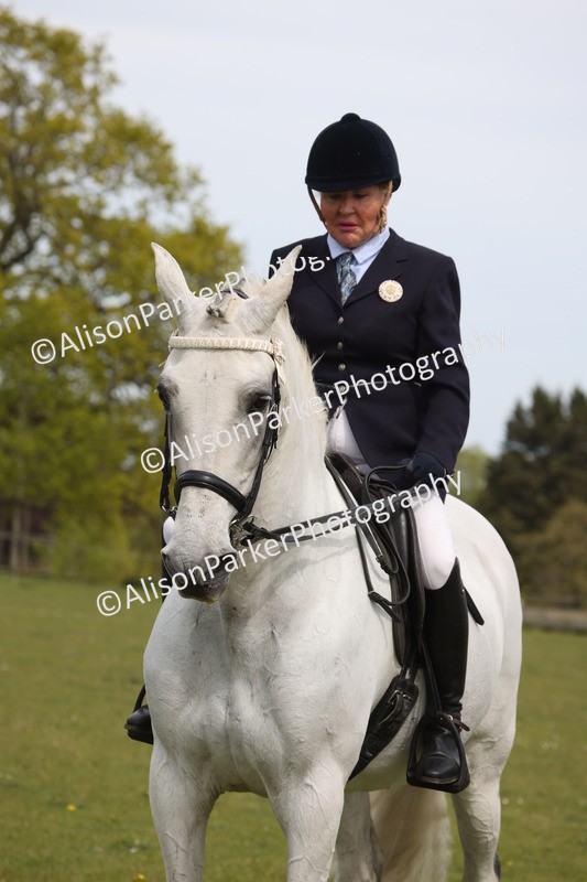 20260426-4367 - Class 34 - Best Riding Horse Over 14.2hh