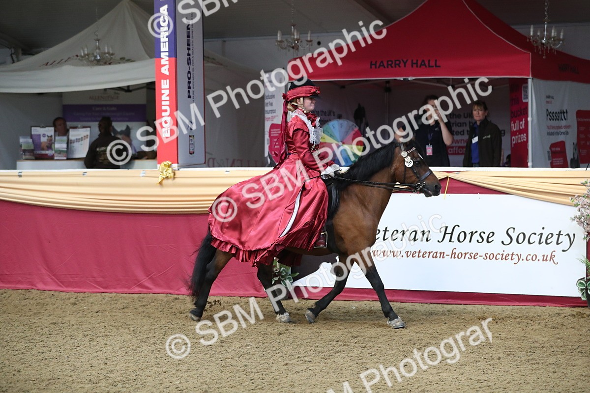 SBM_11216 - Class 104 Ridden Costume - Astride Junior