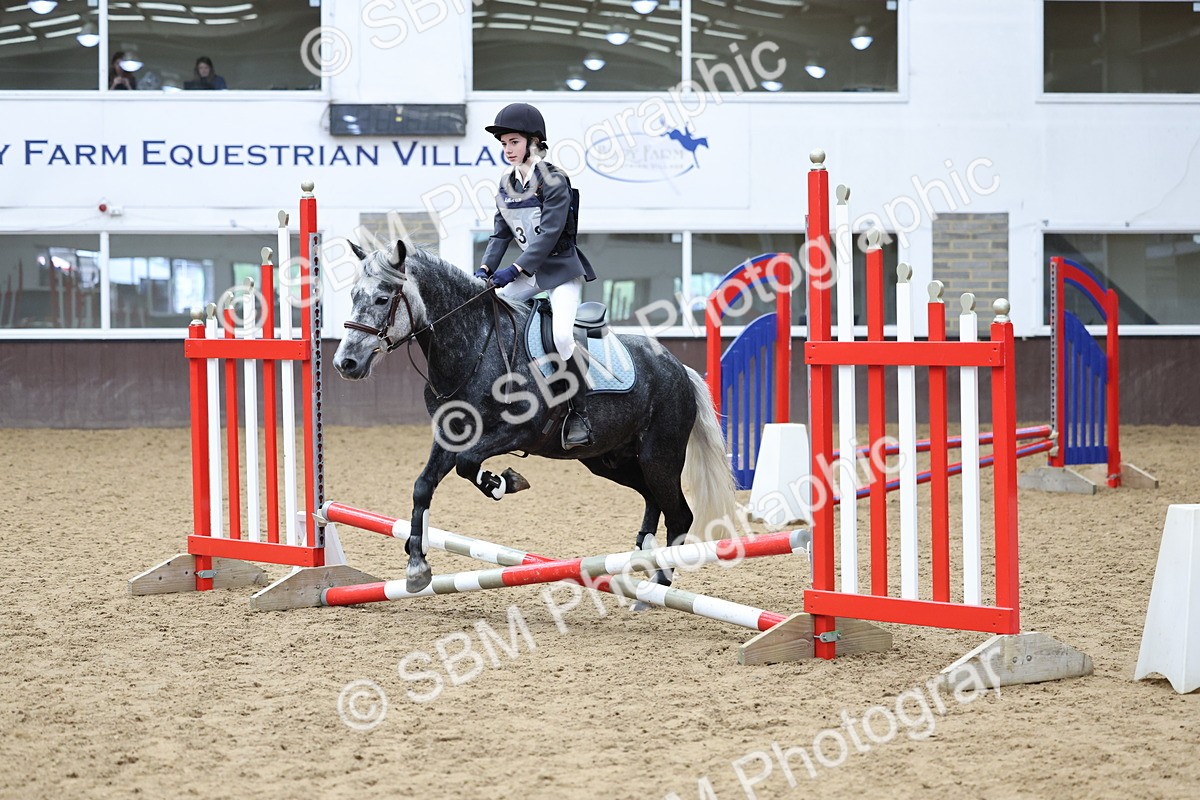 SBM_007295 - Class 2 - 50cm showjumping