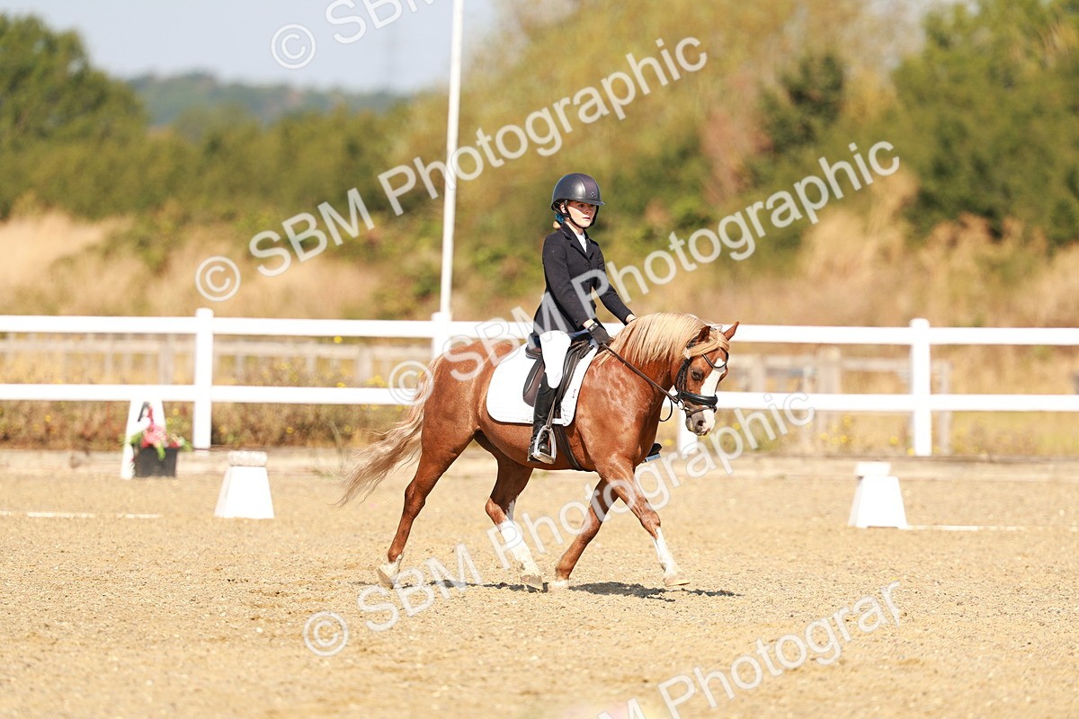 SBM_017580 - Class 9 - N5 Bronze 10.33.11.36