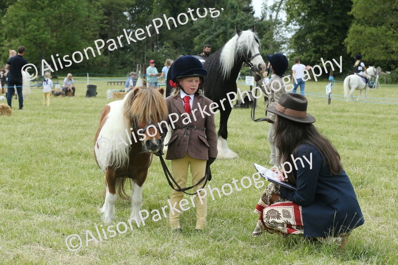 20260614-4287 - Class 18 - Best Junior Handler
