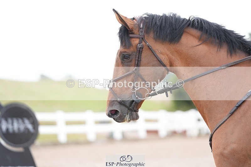 250720-091919-18114 - Cls16, 1 Star Silver Tour Accumulator