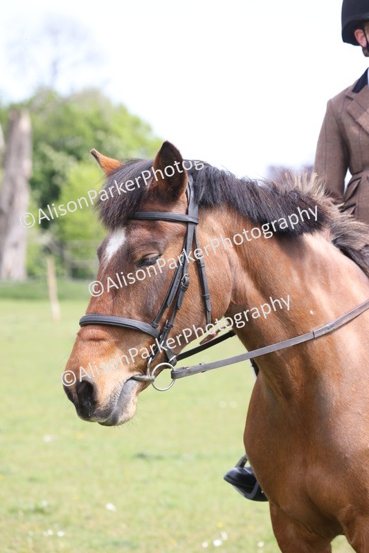 20260426-3003 - Class 33 - Best Pony 14.2hh and Under